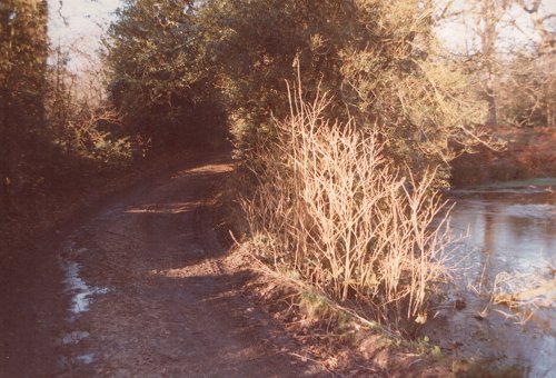 Marish Lane, which leads from the west into Hangar Road and Hailings Lane. It was unsuited for vans and lorries in 1978 and remains so.